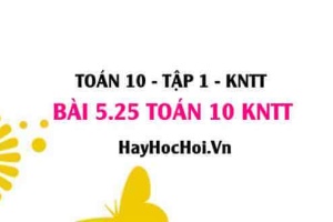 Bài 5.25 SGK Toán 10 Kết nối tri thức tập 1